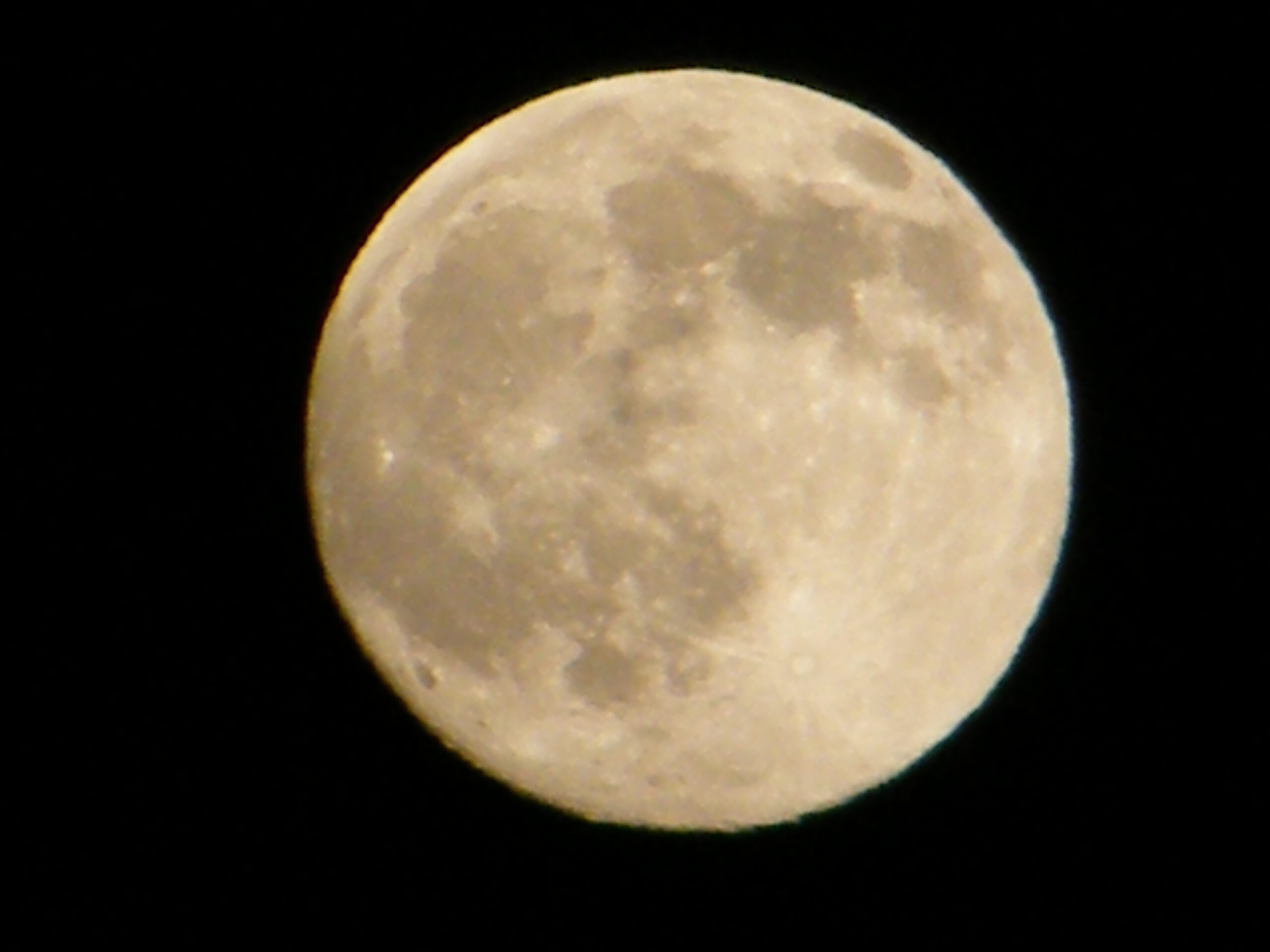 DSCF1395